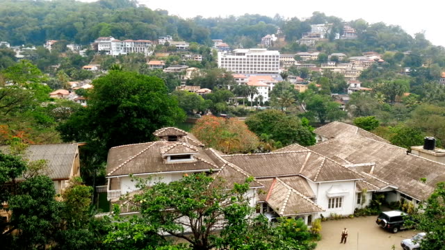 Green-tropical-city-from-above,-buildings-hidden-among-trees,-peaceful-cityscape