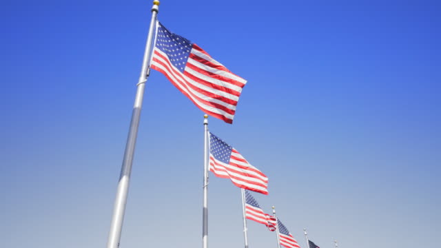video-filmado-en-Washington-dc-de-banderas-americanas