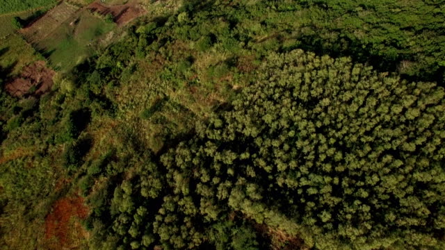 Mauritius-aerial-scene
