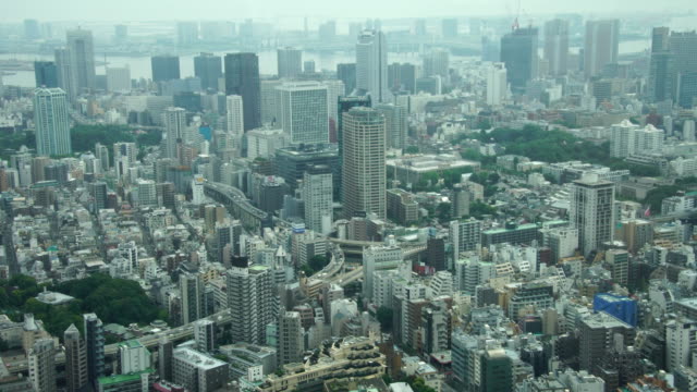 Ocupado-Tokio-ciudad-Japón-calles-horizonte-paisaje-vista-aérea