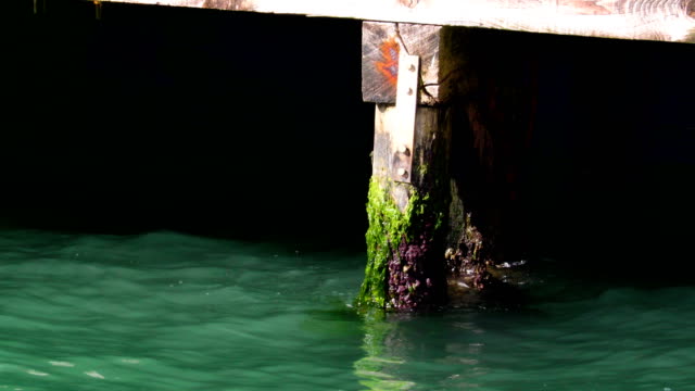Das-blaue-Wasser-winken-mit-den-Algen-in-Venedig-Italien