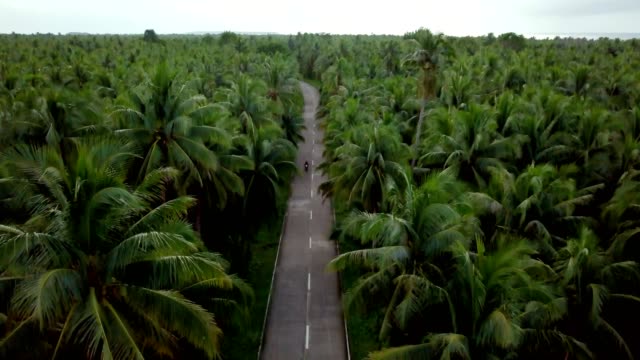 Drone-point-of-view-of-man-driving-motorbike-in-palm-trees-road-in-the-Philippines,-aerial-view-from-drone