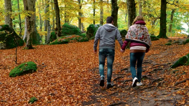 Lovers-walking-holding-hands-in-fall-park.-Love,nature