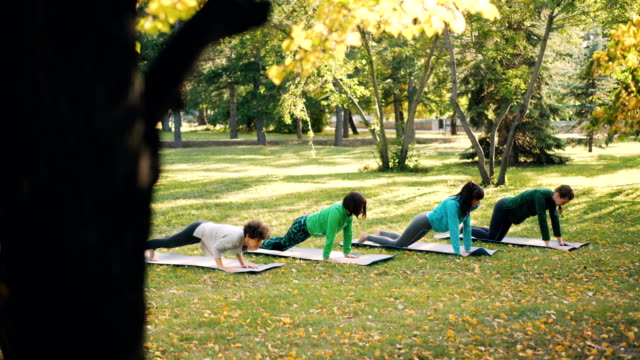 Las-hembras-jóvenes-activos-están-haciendo-yoga-practicar-la-secuencia-de-asanas-al-aire-libre-en-el-parque,-mujeres-grupo-vistiendo-ropa-de-moda-y-utilicen.
