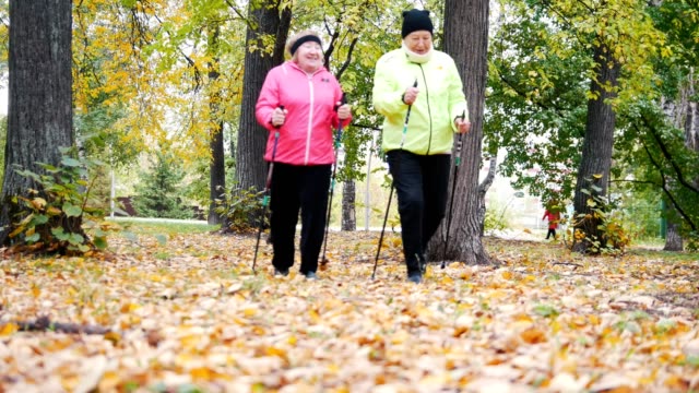 Dos-ancianas-están-haciendo-a-escandinavo-caminando-en-el-parque.-Vista-desde-la-tierra