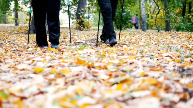 Zwei-ältere-Frauen-machst-skandinavischen-im-Park-spazieren.-Füße.