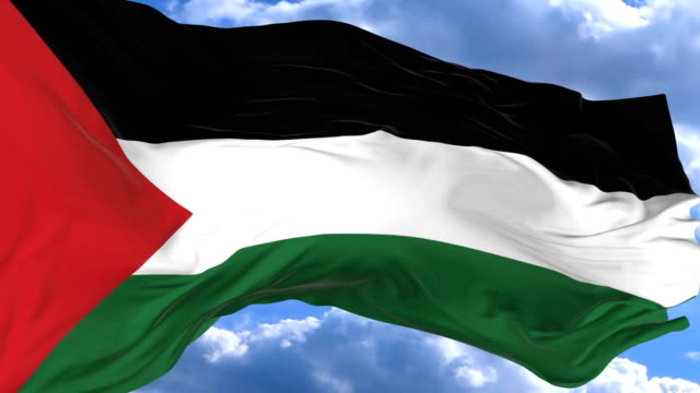 waving-flag-gainst-the-blue-sky-Palestine