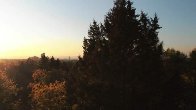 Filmischen-Luftaufnahmen-der-Frankfurter-Skyline-Panorama-bei-Sonnenuntergang