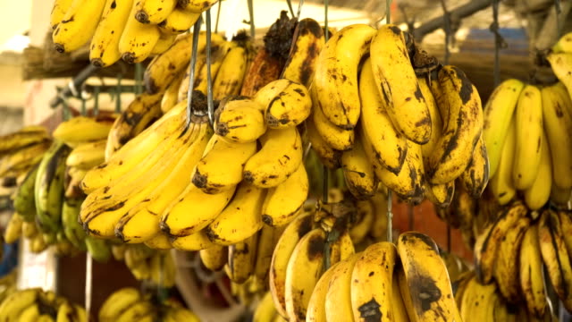 Bananen-auf-dem-Obstmarkt