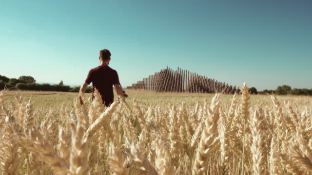 Adult-standing-in-Beautiful-wheat-field-towards-modern-pyramide-raising-skateboard-with-blue-sky-and-epic-sun-light---shot-on-RED