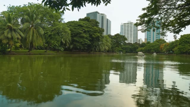 cityscape.-High-rise-buildings-of-the-business-district-stand-in-the-background-of-a-park-with-a-lake.-urban-style