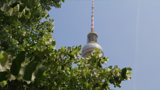 A-Shot-of-the-Fernsehturm-Under-A-Tree.