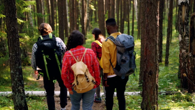 Rear-view-of-cheerful-young-men-and-women-tourists-with-knapsacks-trekking-in-woods-along-wild-path,-enjoying-beautiful-nature-and-talking.-People-and-forest-concept.