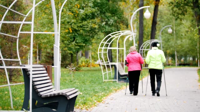 Alte-Frauen-in-Jacken,-während-ein-Skandinavier-auf-Bürgersteig-in-einem-herbstlichen-Park-zu-Fuß-gehen.-Blick-von-der-Rückseite