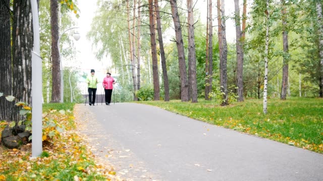 Zwei-ältere-Frauen-machst-skandinavischen-im-Park-spazieren