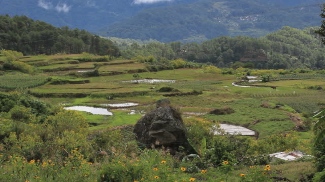 Reisterrassen-auf-den-Philippinen