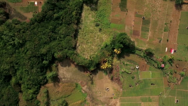 Flying-over-farmlands-on-Mauritius-Island