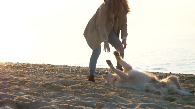 Junge-Frau-schnell-spielen-mit-Retriever-Hund-am-Strand-bei-Sonnenuntergang