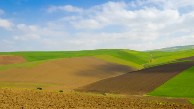Colorfull-view-of-agricultural-fields-zoom-out-timelapse