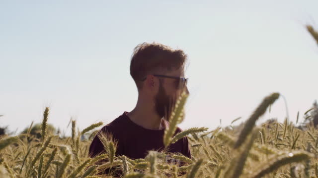 Mann-mit-Bart-zu-suchen-um-schöne-Weizenfeld-mit-blauen-Himmel-und-epische-Sonnenlicht---Schuss-auf-rot