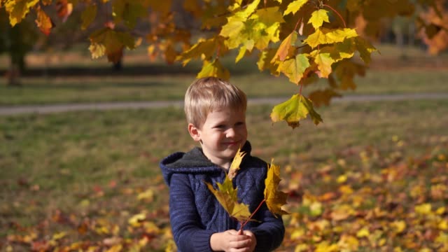 Retrato-de-un-hermoso-niño-en-el-Parque-otoño