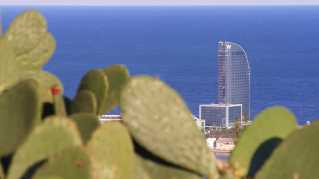 barcelona-día-soleado-montjuic-park-cactus-vista-a-la-famosa-playa-de-4-k,-España