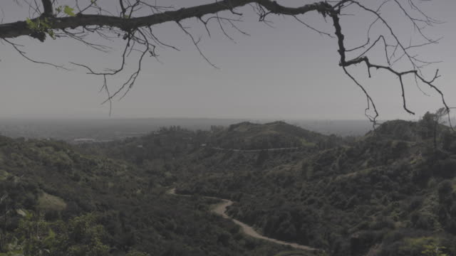 Vista-de-montaña-del-parque-Griffith,-Los-Angeles