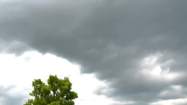 Movimiento-de-las-nubes-de-lluvia-sobre-el-árbol-en-época-de-lluvias-de-Tailandia.