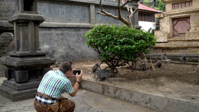 A-man-takes-pictures-of-monkeys-on-a-smartphone