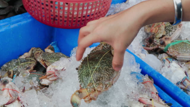 Compra-de-caballo-o-azul-baño-cangrejo-en-mercado-de-Tailandia