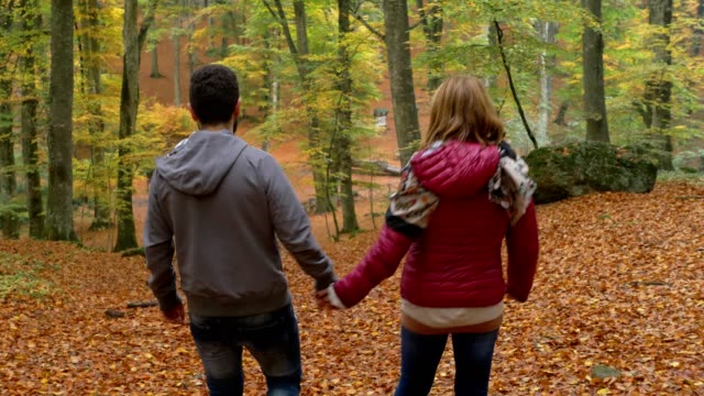 Romantisch-zu-zweit-zu-Fuß-in-den-Wald-im-Herbst-Rückansicht