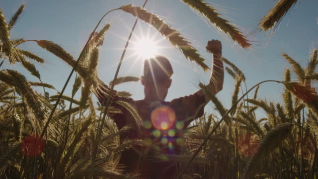 Adult-standing-in-Beautiful-wheat-field-and-raising-hands-with-blue-sky-and-epic-sun-light---shot-on-RED