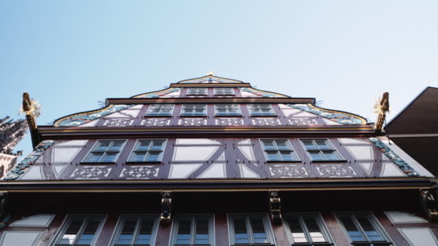 Don-Romer-Projekthaus-des-goldenen-Schuppen-Fassade