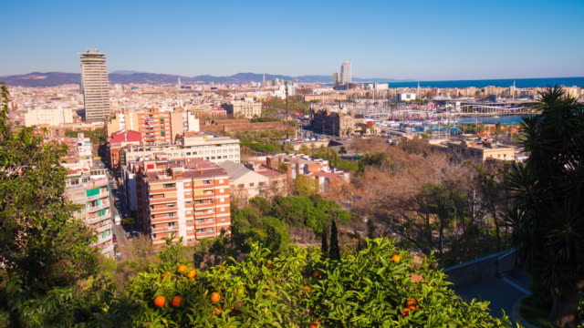 Barcelona-Tageslicht-Mandarinen-Baum-Stadt-\"-panorama\"--4-k-Zeitraffer-Spanien