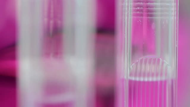 tubos-de-ensayo-con-líquidos-coloridos.-líquido-se-mezcla-en-un-aparato-especial.-Tubos-médicos-de-líquido-rosado.-tubos-con-soluciones-color-de-rosa-en-un-laboratorio-de-bioquímica.-Tubo-de-vidrio-de-la-destilería-de-perfume.-Tubos-de-ensayo-llenos-