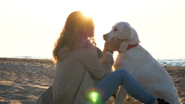 Junge-Frau-schnell-spielen-mit-Retriever-Hund-am-Strand-bei-Sonnenuntergang