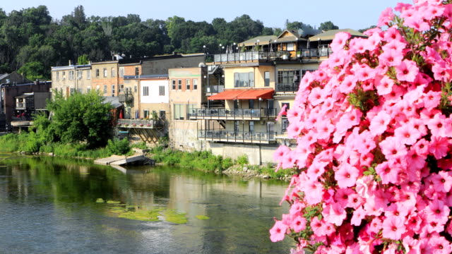Grand-River-at-Paris,-Canada-with-flowers-in-foreground