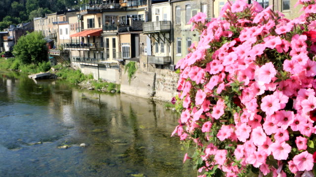 Grand-River-bei-Paris,-Kanada-mit-Blumen-im-Vordergrund