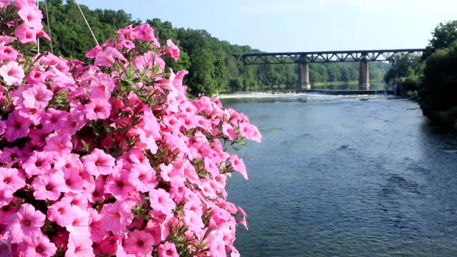 Grand-River-in-Paris,-Ontario,-Kanada-mit-Blumen