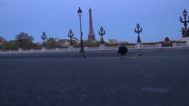 Por-la-mañana-cerca-del-puente-de-Alejandro,-París,-Francia