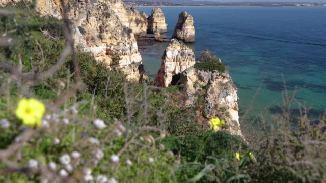 Ponta-da-Piedade,-berühmter-Ort-im-Süden-Portugals,-Lagos-Stadt,-Die-felsige-Küste,-die-Wellen-des-Atlantischen-Ozeans,-scharfe-Felsen,-azurblaues-Wasser,-gelbe-Blumen,-Bogen,-niemand,-wilder-Strand