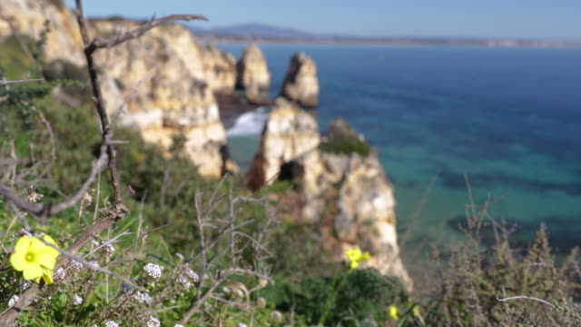 Ponta-da-Piedade,-lugar-famoso-en-el-sur-de-Portugal,-la-ciudad-de-lagos,-la-costa-rocosa,-olas-de-océano-Atlántico,-rocas-afiladas,-agua-azul,-flores-amarillas,-arco,-nadie,-playa-salvaje