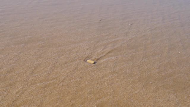 step-on-the-beach,-woman's-leg-morocco