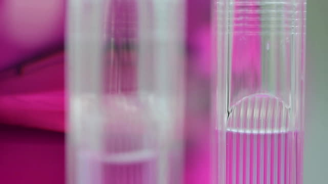 test-tubes-with-colorful-liquids.-liquid-is-mixed-in-a-special-apparatus.-Medical-tubes-with-pink-liquid.-tubes-with-pink-solutions-in-a-biochemistry-lab.-Perfume-distillery-glass-tube.-Test-tubes-filled-with-blood-and-glass-dropper-on-pink-blurred