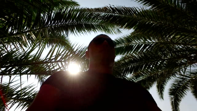 Hombre-silueta-moviéndose-en-siluetas-de-palmeras-en-contraluz-de-bosque-tropical,-por-el-sol-del-atardecer.-4-k-tiro-de-steadicam