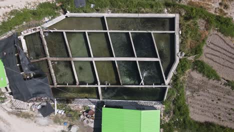 Fish-Pond-Soaring-Overhead-View