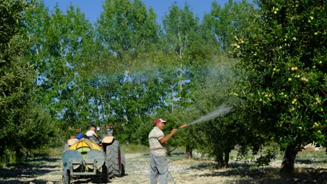 Adult-Man-sprays-trees