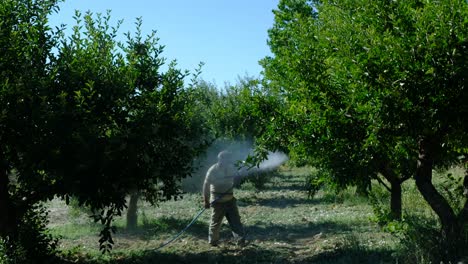 Adult-Man-sprays-apple-trees