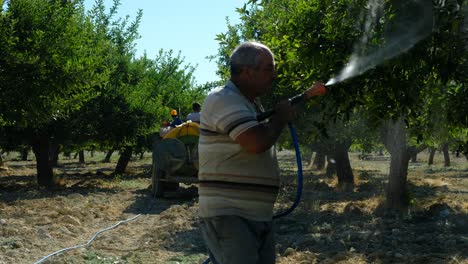 Man-spraying-trees