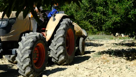 Standing-orange-tractor